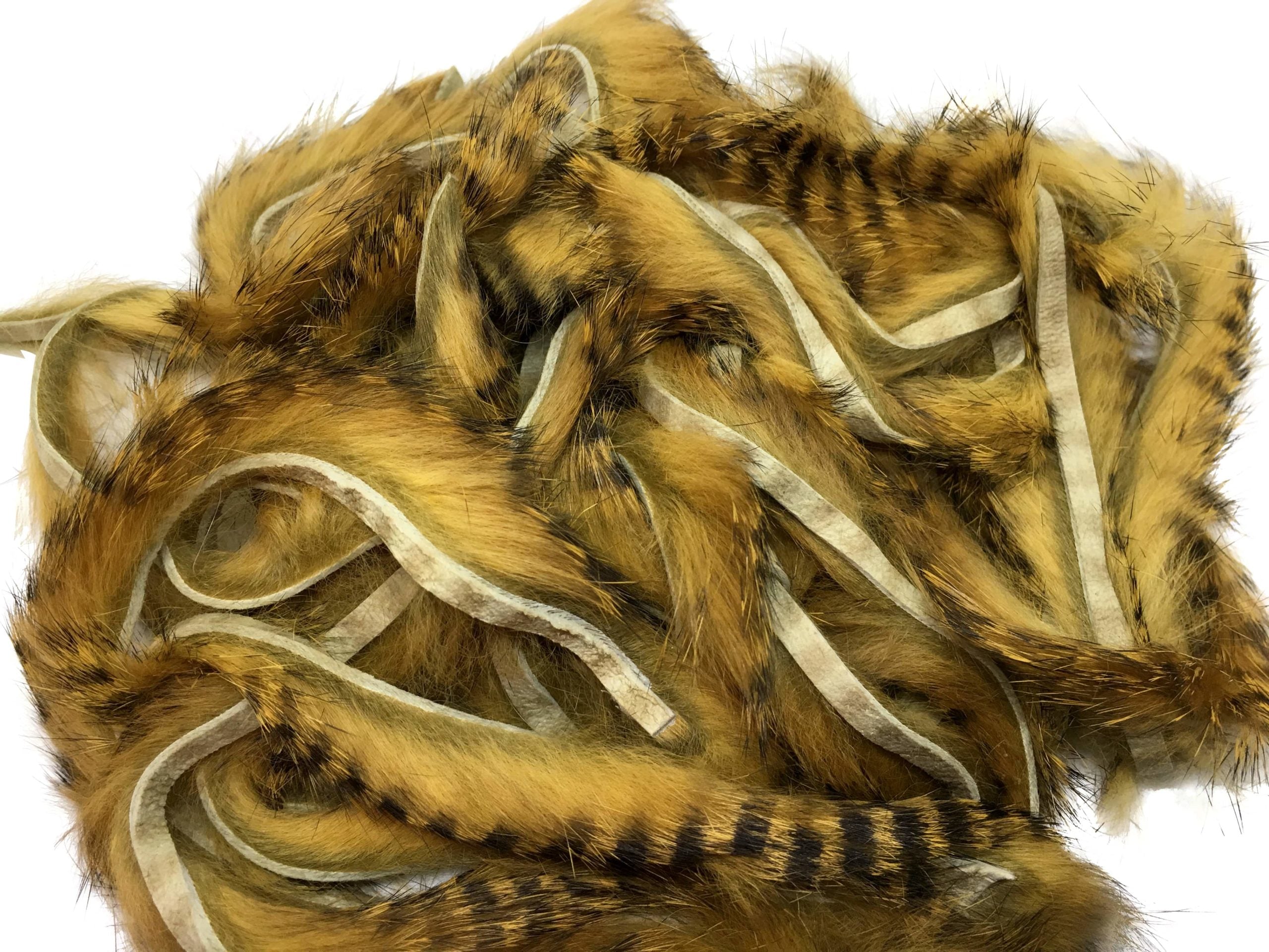 Buggs Micro Rabbit Strips